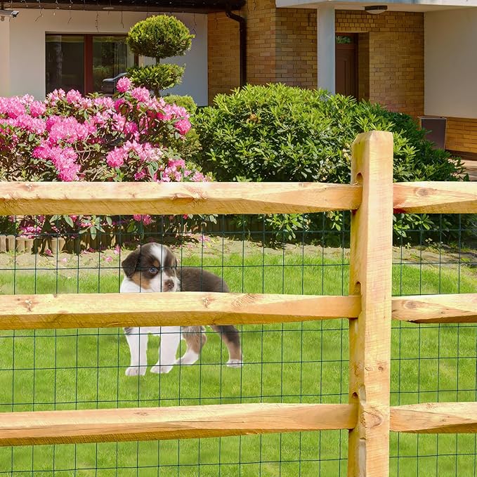 Green PVC Coated Welded Wire Fence 36 Inch x 50 Foot, 2 Inch x 3 Inch 16GA, Garden Border Fencing Roll Vinyl Coating Metal Wire Mesh for Yard Vegetable Plant Protection Poultry Netting