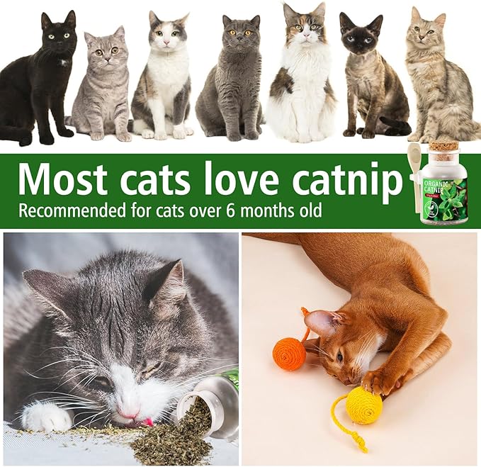 Natural Catnip for Cats,1.05 oz Cat Premium Organic Catnip,Safe & Non-Addictive Catnip Treats Used to Supplement Catnip Toys,Great for Training Redirecting Bad Behaviors