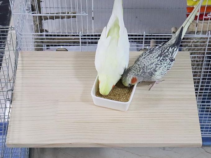 21.7 × 13.8 Inches Large Bird Perch Stand Platform, Natural Wooden Small Animals Cage Accessories, Rectangle Stand Perch Shelf for Parrot Parakeet Cockatiel Rat Hamster Guinea Pig Conure Chinchillas