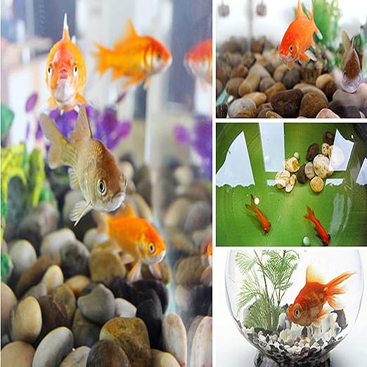 XXYXXY River Stones, Plants, Gardens, Landscapes, Succulents, Highly Polished Decorative Pebbles in Shapes and Sizes from 1-3 inches. (5.7LB, 1)