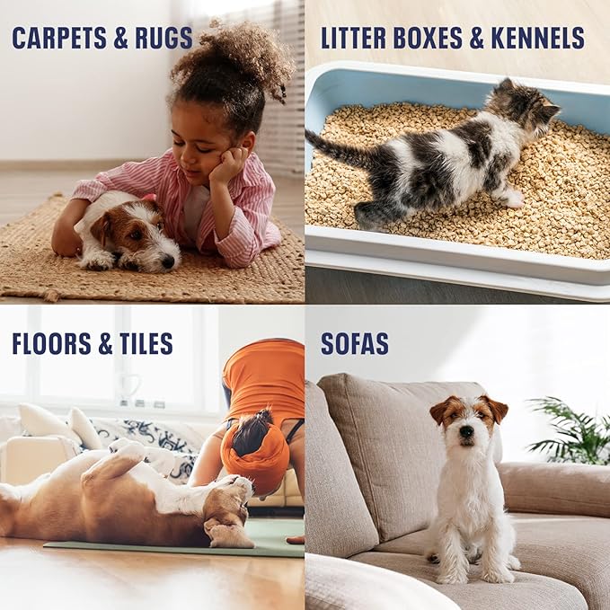 Bioesque Urine Neutralizer, Pet-Friendly Natural Enzymatic & Bacterial Formula, Instantly Breaks Down Urine Odors, Helps Prevent Repeat Mishaps, 32 Fl Oz (Pack of 1)