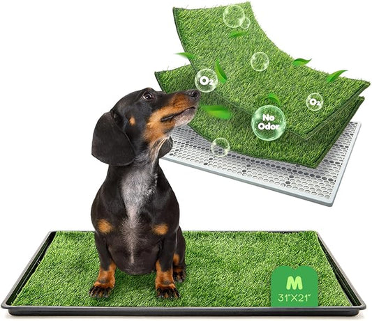 Dog Grass Pad with Tray, 31×21in Medium Litter Box, 2×Grass Pad for Dogs Potty Washable, Thick Soft Odor-Free Hemmed Dog Pee Grass, Indoor Potty Training Balcony