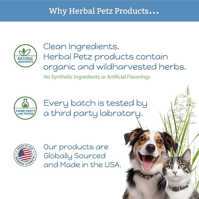 Immune-ity for Cats & Dogs - Herbal Health Supplement, Immune Support, Antioxidants, Yeast Balance, Healthy Stools, Microbiome Support, 1 Fluid Ounce Glass Bottle, Manufactured in The USA