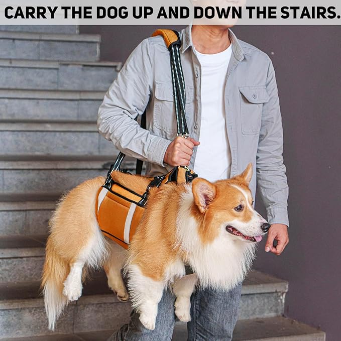 COODEO Mobility Dog Lift Harness, Emergency Carry Sling, Pet Rear Leg Support Rehabilitation Lifts Vest, Dog Carrier for Senior Dogs Joint Injuries, Arthritis (Orange, L)