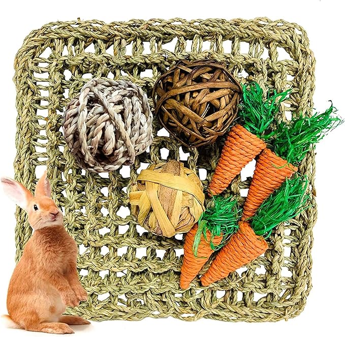 Hamiledyi Rabbit Seagrass Activity Mat Bunny Mat Rabbit Enrichment Toys Rabbit Chew Toys for Teeth Seagrass Protector Mat Small Animal Toys for Rabbit Bunny Chinchilla Guinea Pigs Rodent Pets