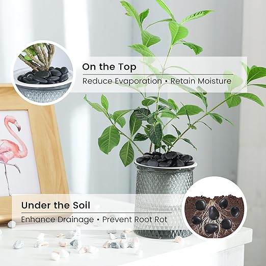 SIDONG 5 LB Black River Rocks, 0.4-1.2 Inches Highly Polished Pebbles for Indoor Plants, Decorative Stones for Plants, Fish Tank, Vases, Home Décor, Crafting, Garden Landscaping