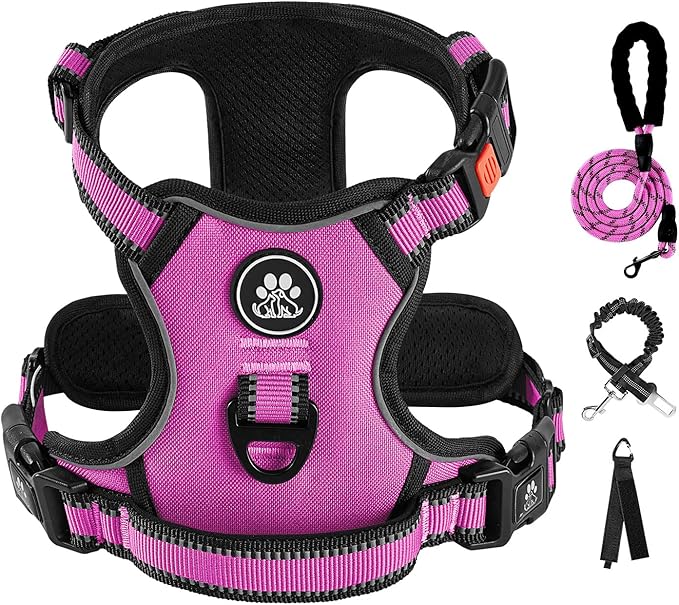 IVY&LANE No Pull Dog Harness for Large Dogs, Dog Vest Harness with Leash, Safety Belt and Storage Strap, Fully Adjustable Harness, 360° Reflective Strip, Soft Handle (Fuchsia Pink, L)