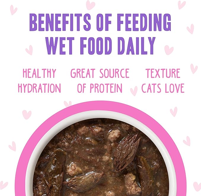 Weruva B.F.F. OMG - Best Feline Friend Oh My Gravy!, Tuna & Duck Devour Me with Tuna & Duck in Gravy Cat Food, 3oz Pouch (Pack of 12)
