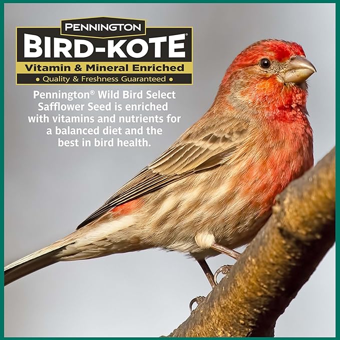 Pennington Select Safflower Seed 15 lb Bag