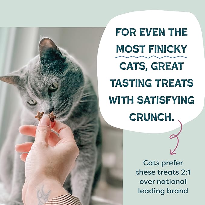 Shameless Pets Crunchy Cat Treats - Kitty Treats for Cats with Digestive Support, Natural Kitten Treats with Real Chicken, Healthy Flavored Feline Snacks - Cran You Say Chicken, 3-Pk