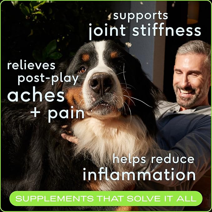 Native Pet Pain Relief for Dogs - Collagen for Dogs Promotes Joint Health, Reduce Inflammation & Stiffness - Senior Pup Joint Supplement - Natural Pain Reliever for Active & Aging Pets - 60 Chews