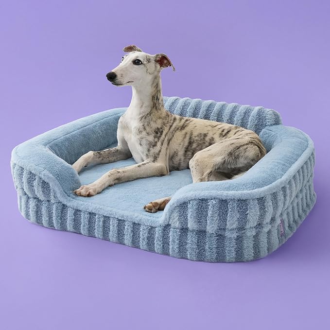 LE SURE Cute Dog Bed Medium Size Dog, Orthopedic Waterproof Medium Pet Beds with Sides, Non-Slip Bottom and Egg-Crate Foam Pet Couch Sofa with Washable Removable Cover, Blue