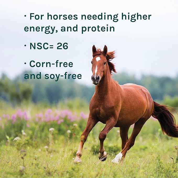 New Country Organics | Elite Horse Feed for Horses Under The Stresses of Competition and Travel | Corn-Free and Soy-Free | 14% Protein | Certified Organic and Non-GMO | Grain & Oats Feeder 40 lbs