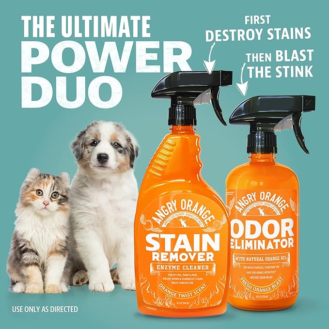 ANGRY ORANGE Pet Stain Remover for Dog Urine and Stains - Enzyme Cleaner - Citrus - Value 2 pack