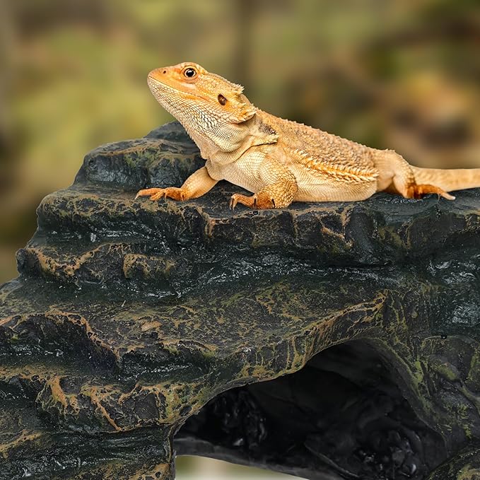 Gecko Tank Acccessories, Turtle Tank Accessories, Perfect Tortoise Hide Fish Tank Decor for Betta, Fish, Snake Hide, Professional Turtle Basking Platform (Medium)