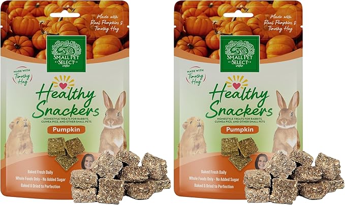 Small Pet Select - Healthy Snackers - Pumpkin (Pack of 2)