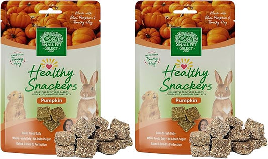 Small Pet Select - Healthy Snackers - Pumpkin (Pack of 2)