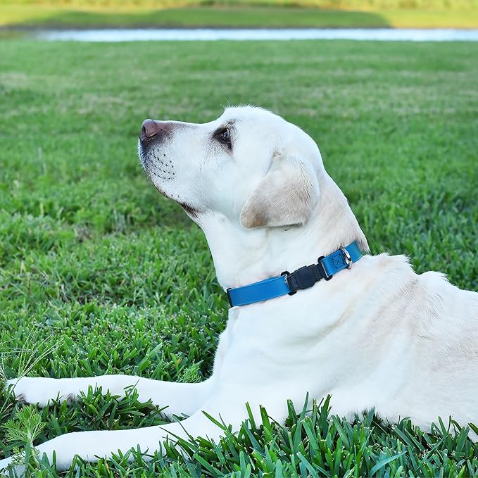 Dogline Biothane Waterproof Dog Collar with Herm Sprenger Black Stainless Steel Quick Release Buckle – Heavy Duty Tactical Durable Collar for Dogs – Comfortable and Safe Pet Collar W 1" L 15-25" Blue