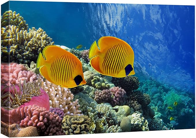 wall26 Canvas Print Wall Art Tropical Yellow Fish with Vibrant Coral Reef Nature Ocean Photography Realism Nautical Scenic Relax/Calm Multicolor Ultra for Living Room, Bedroom, Office - 12"x18"