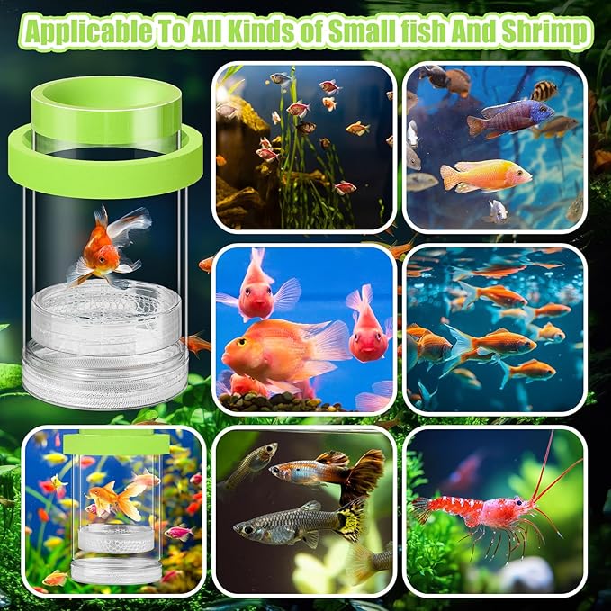 2 Pcs Breeder Box for Fish Tank Aquarium Breeder Separation Net Breeding Box with Suction Cup for Small Fish Shrimp Clownfish Guppy(Green,M)