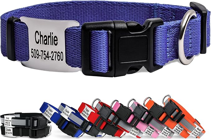GoTags Personalized Dog Collar with Nameplate, Adjustable Dog Collar with Custom Engraved Slide On Pet ID Tag in Stainless Steel, Silent, No Noise Dog Tag (Lavender, X-Small)