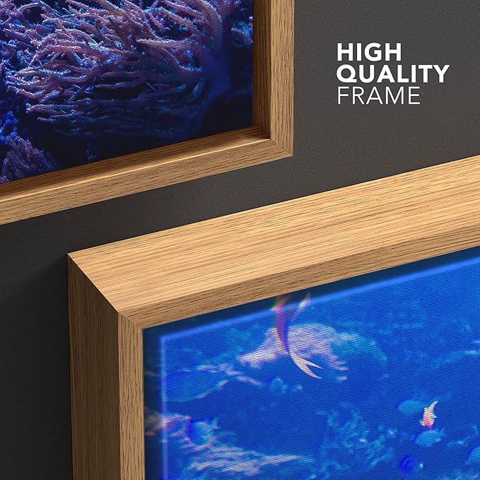 wall26 Framed Canvas Print Wall Art Purple Blue Vibrant Anemone Coral Reef Fish Nature Animals Realism Rustic Scenic Landscape Wilderness Colorful for Living Room, Bedroom, Office - 24"x36" Natural