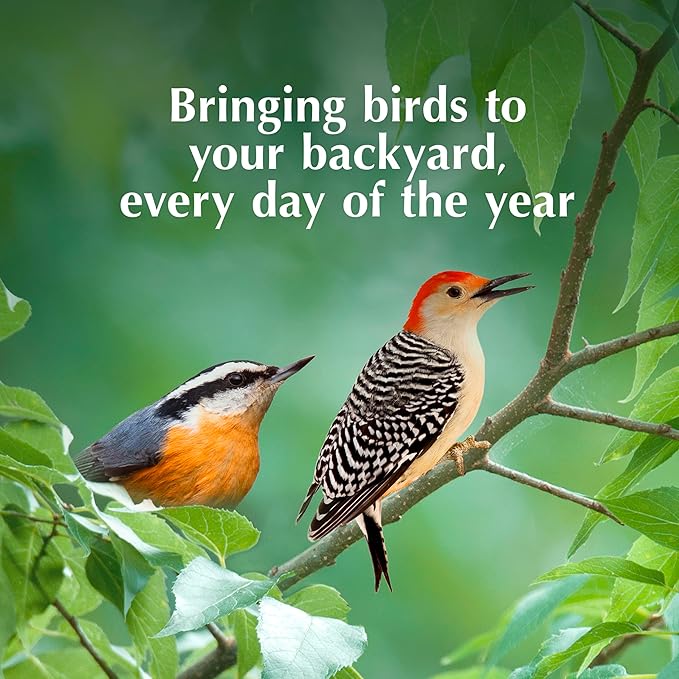 C&S Sunflower Suet Nuggets, Suet Nuggets for Wild Birds, 8 Lbs