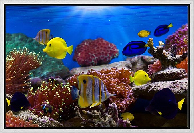 wall26 Framed Canvas Wall Art - Coral Reef and Tropical Fish Under The Ocean | Modern Home Art Framed Canvas Prints Gallery Wrap Giclee Printing & Ready to Hang - 16"x24" White