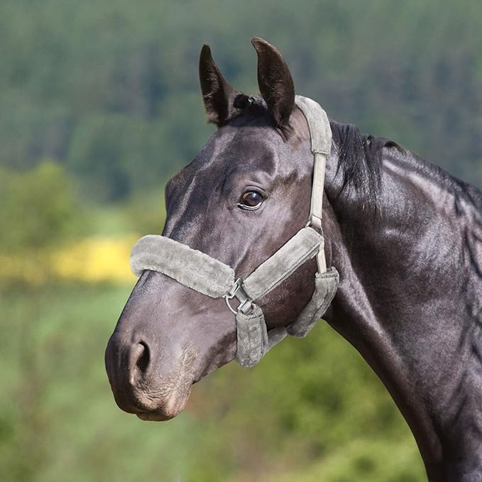 Harrison Howard Horse Halter Fleece Cover Set 9 Pieces