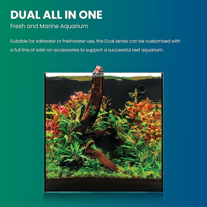 Ultum Nature Systems Dual AIO - Freshwater/Saltwater Compatible All in One Rimless Tank with Triple Chamber Filtration System, Integrated Filter Aquarium w/Leveling Mat - 11 Gallon, 35A, Black