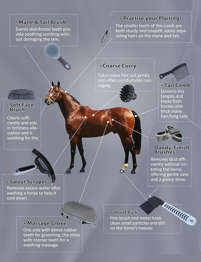 Harrison Howard Horse Grooming Kit 11-Piece Equine Care Series Horse Brush Sets with Organizer Tote Bag Tack Room Supplies Shedding Grooming Massaging Tools Black Brushstroke Ponies