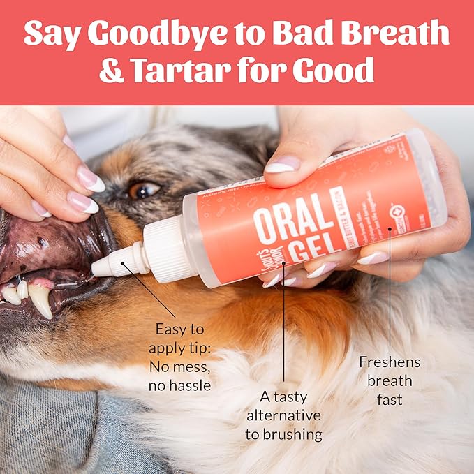 SKOUT'S HONOR Peanut Butter & Bacon Oral Gel - Fights Plaque and Tartar, Freshens Breath Fast, No Brushing Required, 4 oz