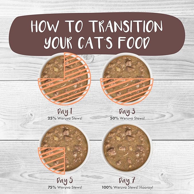 Weruva Classic Cat Stews!, Goody Stew Shoes with Chicken & Salmon in Gravy, 2.8oz Can (Pack of 12)