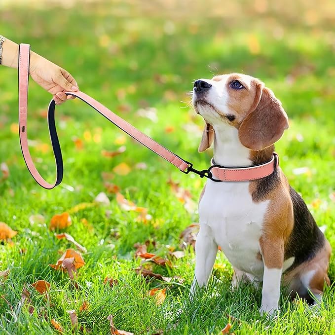 Didog Soft Padded Leather Dog Collar and Leash Set,Pink Breathable Pet Collars with 4FT PU Leather Dog Leash for Small Medium Large Dogs, Pink, M