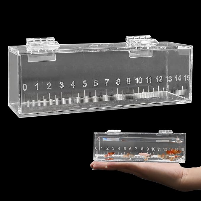 Fish Viewing Box Container with Lid and Scale, Acrylic Portable Fishing Mini Aquarium, Small Fish Breeder Hatching Boxes, Safe Tank Case for Breeding Egg Photo Isolation Outdoor Indoor