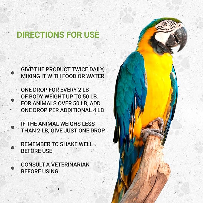 Birds Feathers | Natural Herbal Dietary Pet Supplement for Birds | Support Healthy Feathers | Alcohol-Free Extract, Dandelion Root, Calendula, Alfalfa, Peppermint, Fennel 2 oz