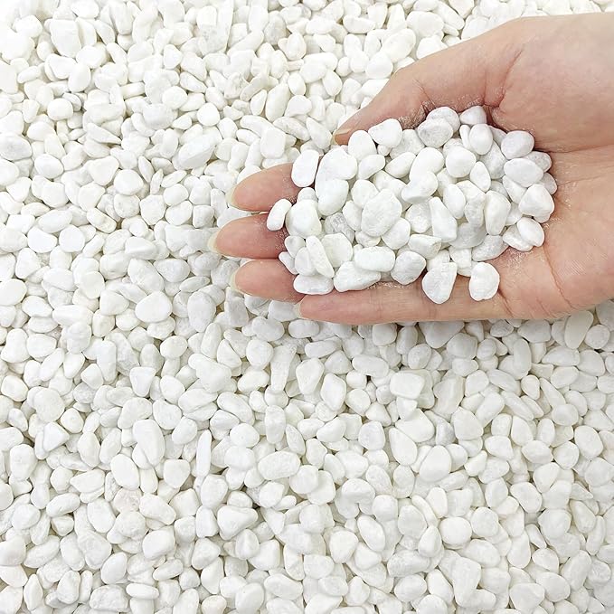 5lbs Natural White Pea Gravel Pebbles for Succulent Cactus, 3/8 Inch White Rocks for Plants Indoor, Vase Fillers, Bowl, Landscaping and Outdoor Garden Decorative White Stones