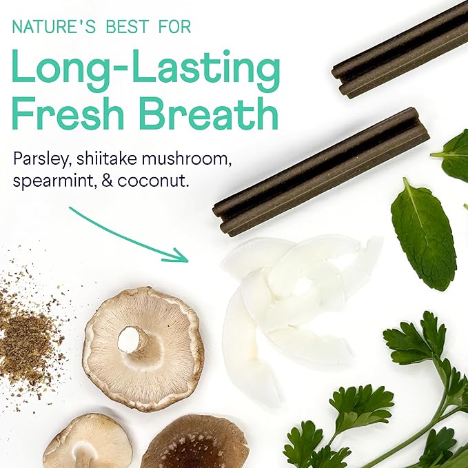 Finn Plaque Patrol Dental Chews | Triple-Action Defense Against Plaque, Tartar, and Bad Breath | for Medium/Large Dogs, 25+ lbs