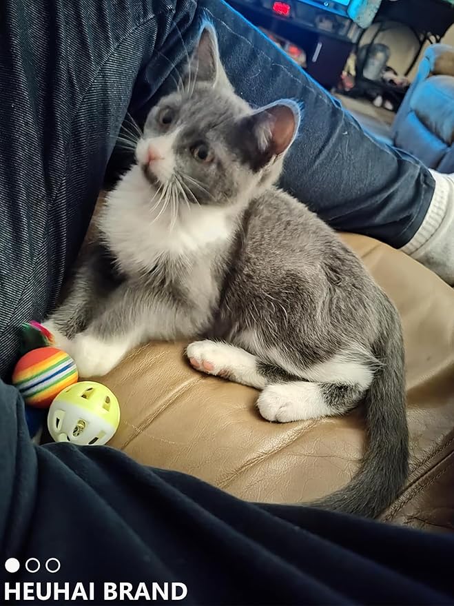 10-Pack Cat Toy Balls with Bells for Kittens and Cats (1.5'' - 2.2'', Cat Toys Mega Set)