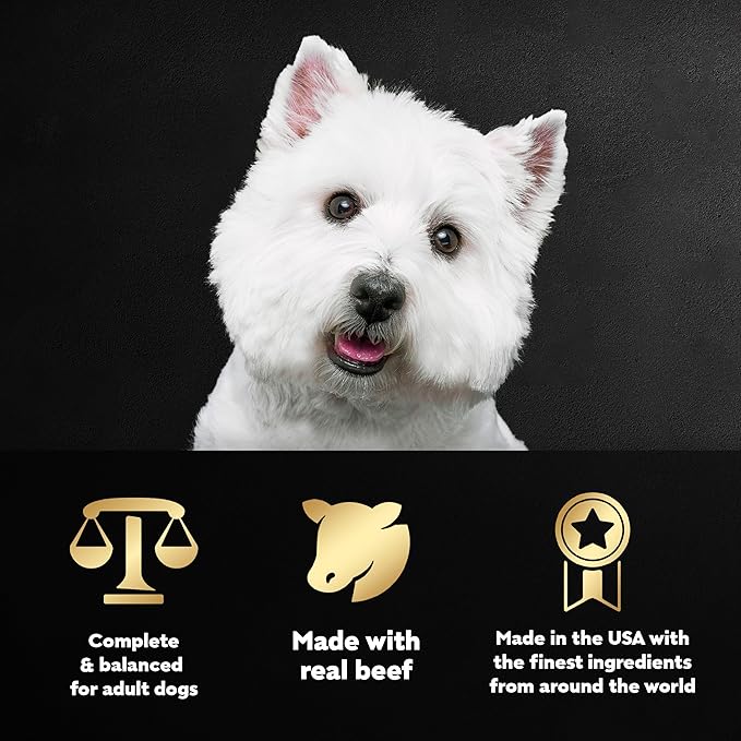 Cesar Filets in Gravy Adult Wet Dog Food, Filet Mignon and New York Strip Flavors Variety Pack, 3.5 oz. (12 Count, Pack of 1)