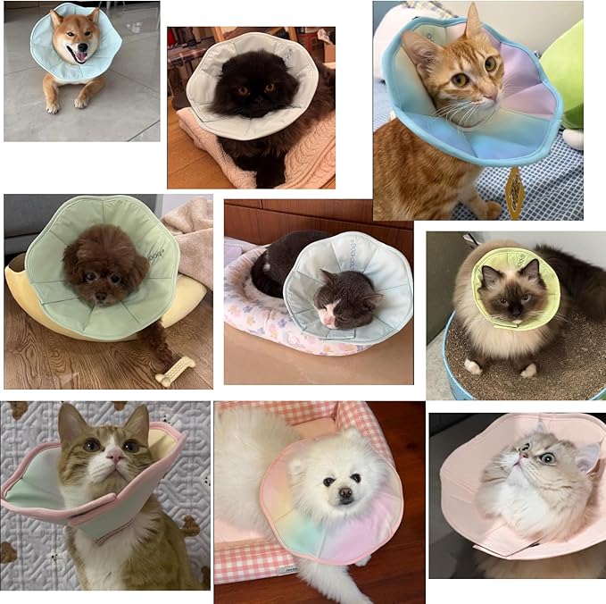 Touchdog Foldable Dog Cone Collar for Cats & Dogs - Adjustable Soft Recovery Collar with Waterproof PU Coating, Lightweight Design, 24.5cm/9.6in Wide Barrier (Green, XL)