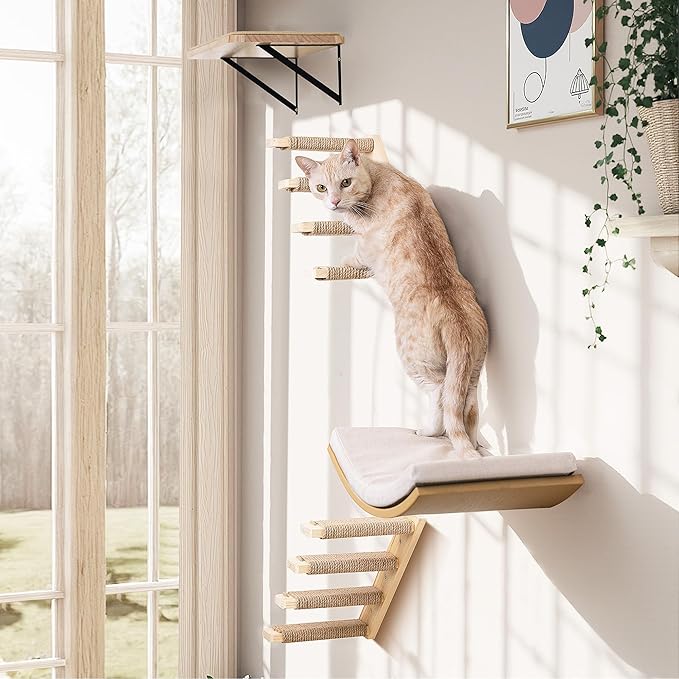 Wood Cat Wall Shelf with Soft Foam Cushion, Curved Cats Wall Bed for Large Cats, Floating Cat Perch for Sleeping & Climbing