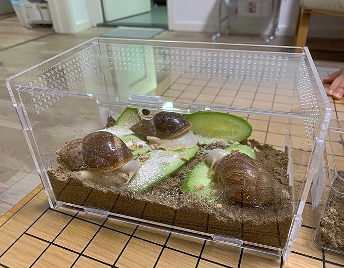Magnetic Acrylic Case, micro habitat small Tarantula Enclosure enclosure for arboreal Tarantula Scorpion Sling Lizards Mantis Snake Gecko jumping spider snail Insect Isopods (7.8*4.7*4.7inch)