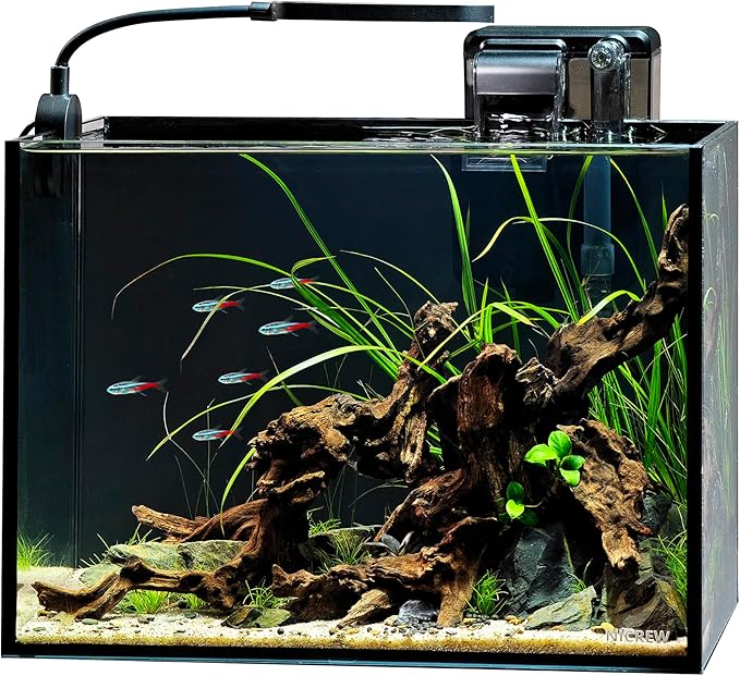 NICREW 2.5 Gallon Nano Nature Aquarium Kit, Ultra-Clear Rimless Desktop Fish Tank with Light and Filter, Perfect for Small Fish, Shrimp, or Betta, Basic Version, Black