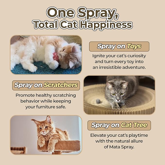 JAYU PET Active MATA Spray – 100% Natural Silvervine Spray for Cats, Liquid Catnip Alternative, Calming Spray for Indoor Kittens, Boosts Play & Engagement, Reduces Stress (1 fl oz)