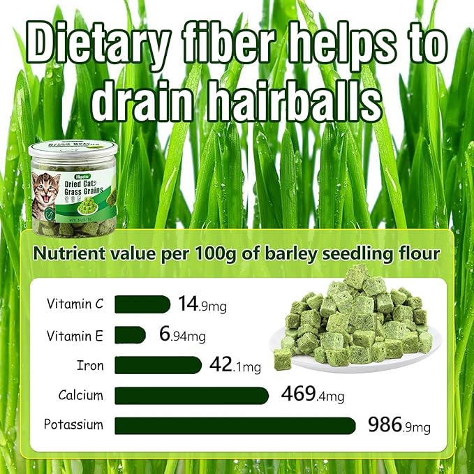 50g Cat Grass Teething Treat, Delicious Cat Grass Teething Snack Edible Cats Chew Toy for Teeth Cleaning and Hairball Removal