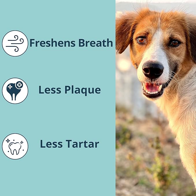 NOVEHA Pet Dental Powder | Vet-Approved Oral Care for Dogs & Cats | Natural Plaque Remover for Dogs Fresh Breath Formula | Easy Teeth Cleaning for Daily Use (2 - Packs)