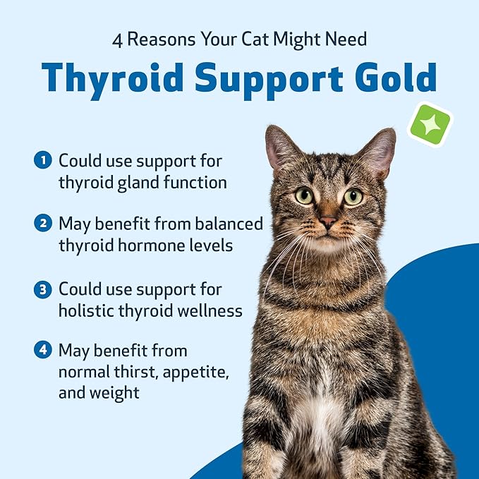 Pet Wellbeing Thyroid Support Gold for Cats - Supports Healthy Thyroid Gland Function in Cats, Normal Metabolism, Bugleweed, Lemon Balm - Veterinarian-Formulated Herbal Supplement 2 fl oz (59 ml)