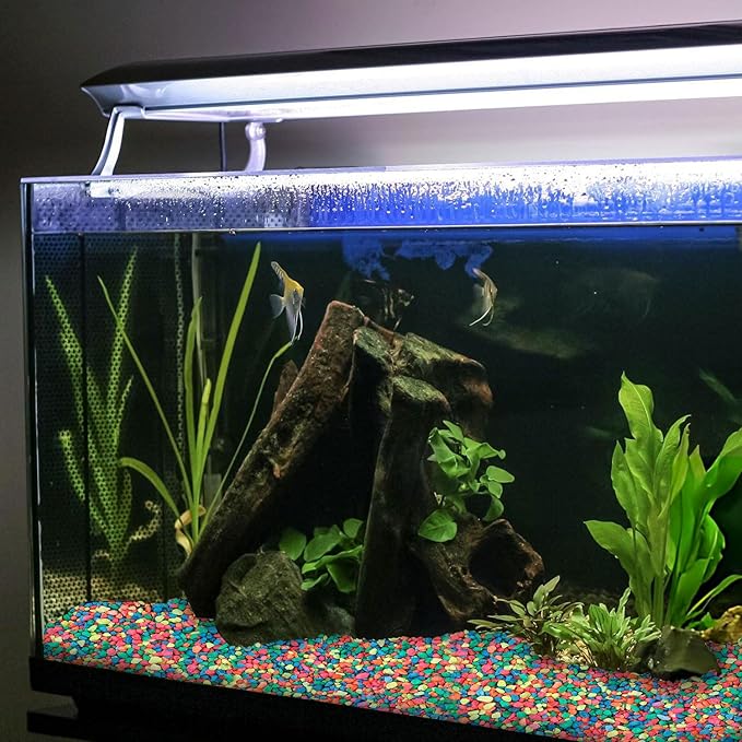 Hygloss Products Craft Rocks, Mini Stones for Art Projects - Bag O' Gravel, Neon Rainbow, 5 lb