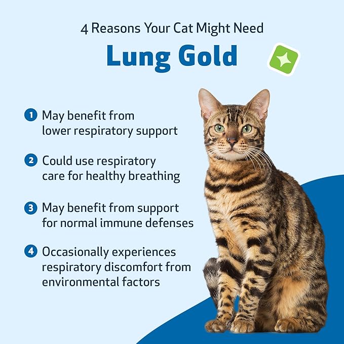 Pet Wellbeing Lung Gold for Cats - Lung Immune Support, Lower Respiratory Health, Open Airways, Normal Breathing, Reishi, Coptis - Veterinarian-Formulated Herbal Supplement - 4 oz (118 ml)